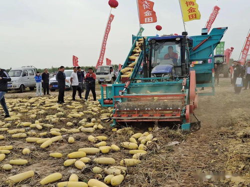 聚焦綠色農(nóng)業(yè) 第四屆中國(guó)農(nóng)機(jī)那達(dá)慕暨殘膜機(jī)械回收現(xiàn)場(chǎng)會(huì)在臨河開幕